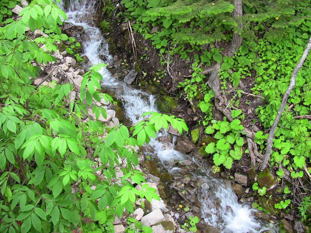 La Source Enchantee Baie-Saint-Paul Oda fotoğraf